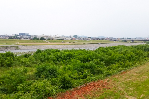 渡良瀬川の景色